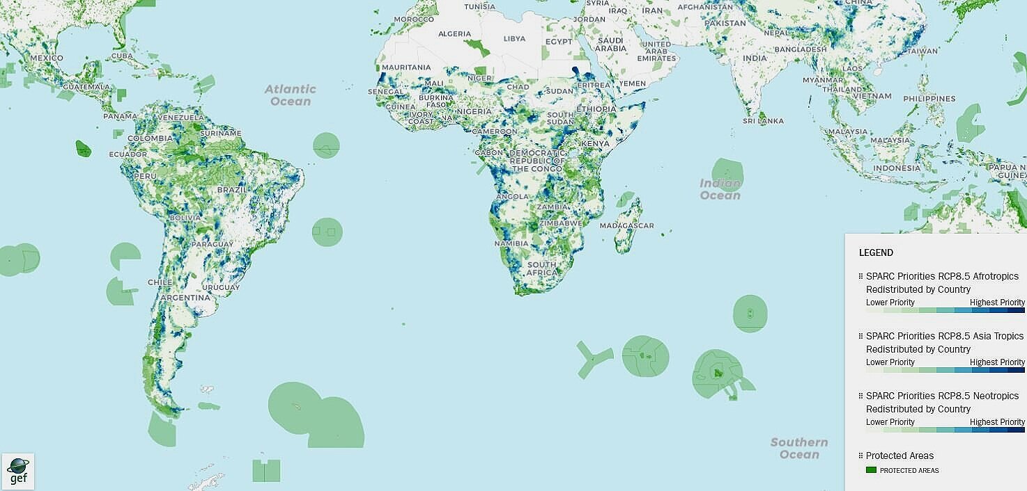 Spatial priorities for species in response to climate change. Areas in blue represent areas in each country that are most effective at representing plants and vertebrates in both current climates and in future climate projections.